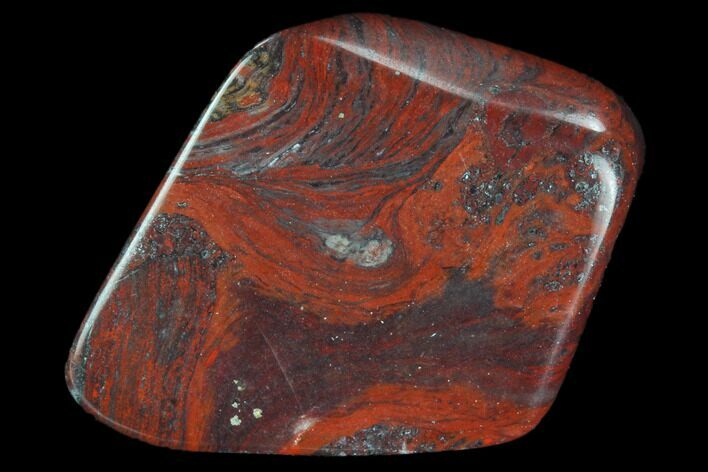 Polished Stromatolite (Collenia) - Minnesota #126093